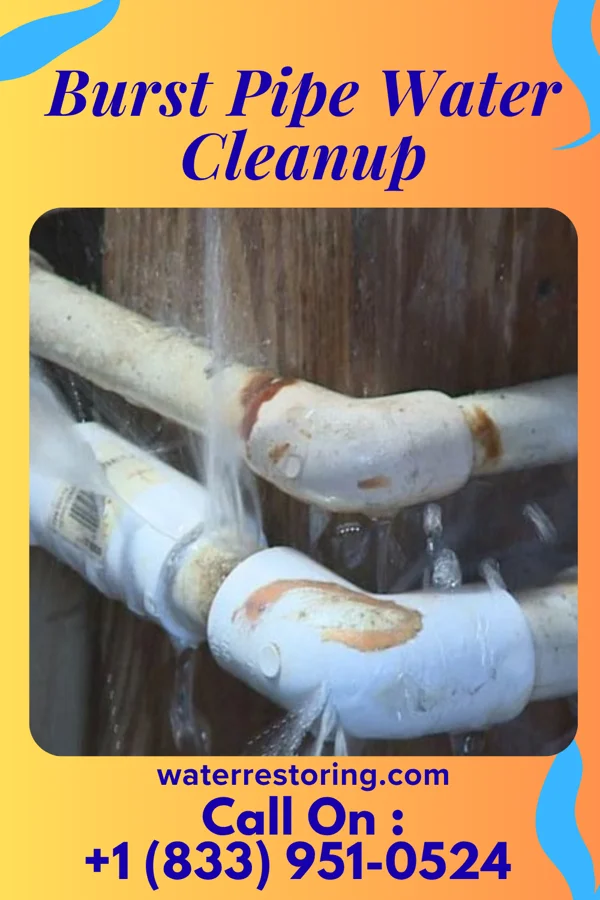 Burst Pipe Water Cleanup in St. Albans, WV