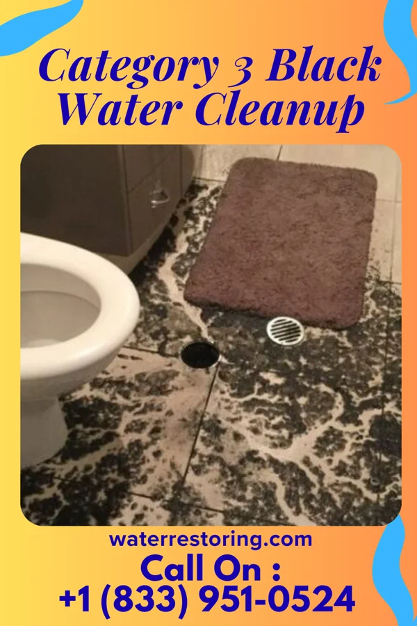 Category 3 Black Water Cleanup in St. Albans, WV