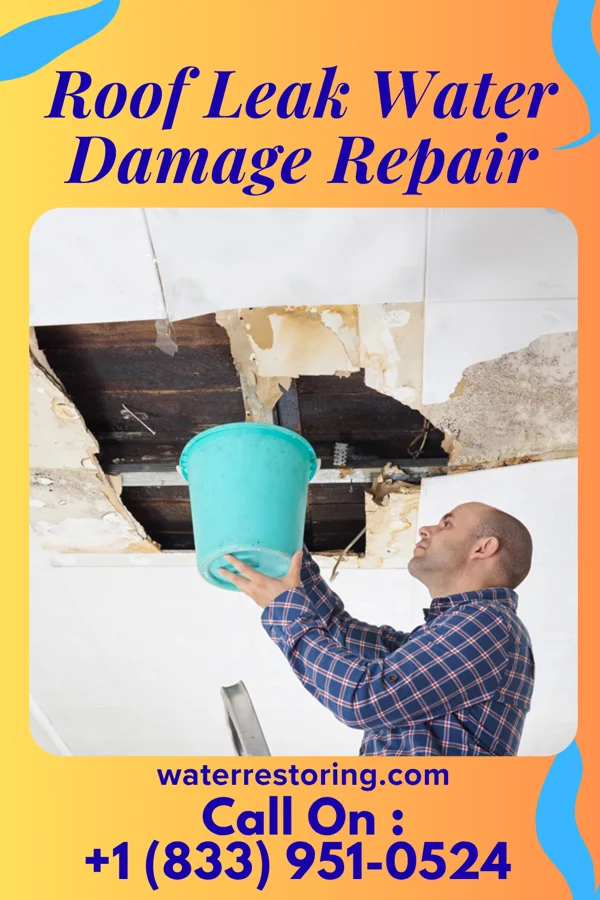 Roof Leak Water Damage Repair in St. Albans, WV