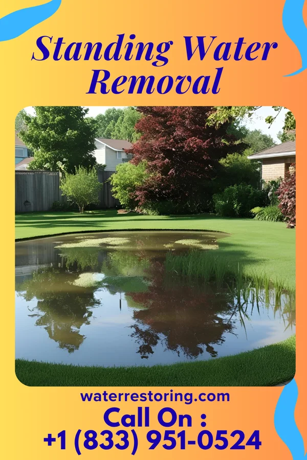 Standing Water Removal in St. Albans, WV